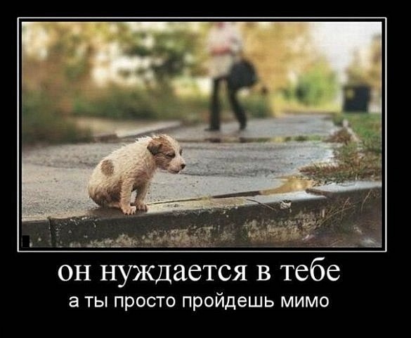 http://cs10506.vkontakte.ru/u39942253/-1/x_3edf57e5.jpg